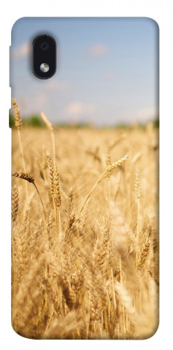 Чехол itsPrint Поле пшеницы для Samsung Galaxy M01 Core / A01 Core