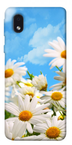 Чехол itsPrint Ромашковое поле для Samsung Galaxy M01 Core / A01 Core
