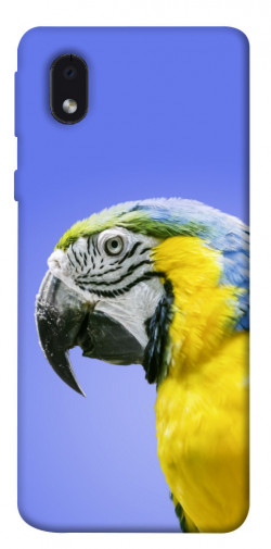 Чохол itsPrint Папуга ара для Samsung Galaxy M01 Core / A01 Core