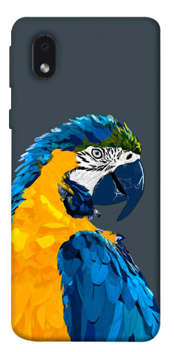 Чехол itsPrint Попугай для Samsung Galaxy M01 Core / A01 Core