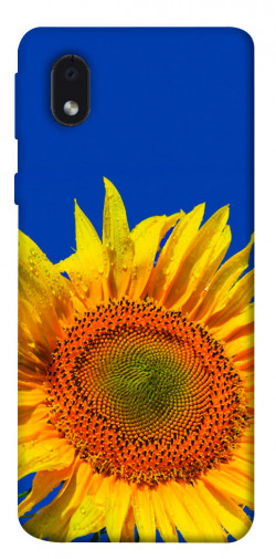 Чехол itsPrint Sunflower для Samsung Galaxy M01 Core / A01 Core