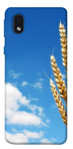 Чехол itsPrint Пшеница для Samsung Galaxy M01 Core / A01 Core