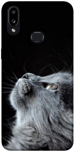 Чохол itsPrint Cute cat для Samsung Galaxy A10s