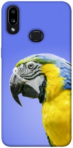 Чехол itsPrint Попугай ара для Samsung Galaxy A10s