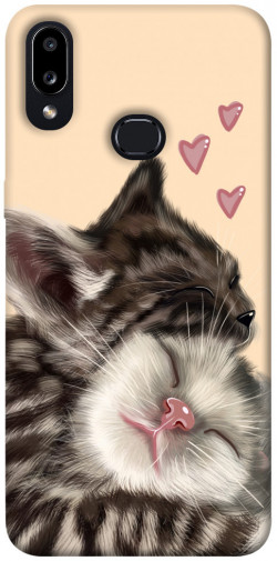 Чохол itsPrint Cats love для Samsung Galaxy A10s