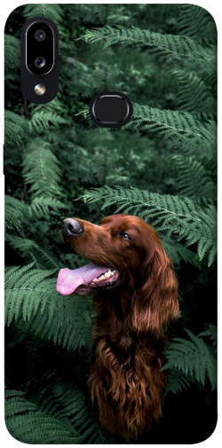 Чехол itsPrint Собака в зелени для Samsung Galaxy A10s