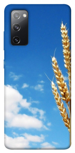 Чохол itsPrint Пшениця для Samsung Galaxy S20 FE