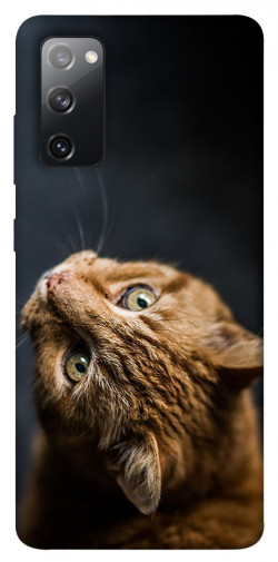 Чехол itsPrint Рыжий кот для Samsung Galaxy S20 FE
