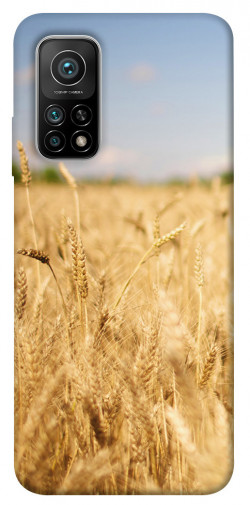 Чехол itsPrint Поле пшеницы для Xiaomi Mi 10T