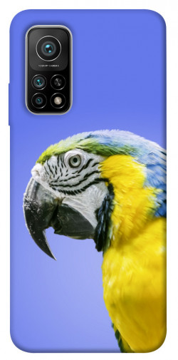 Чехол itsPrint Попугай ара для Xiaomi Mi 10T