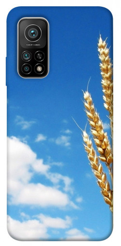 Чехол itsPrint Пшеница для Xiaomi Mi 10T Pro