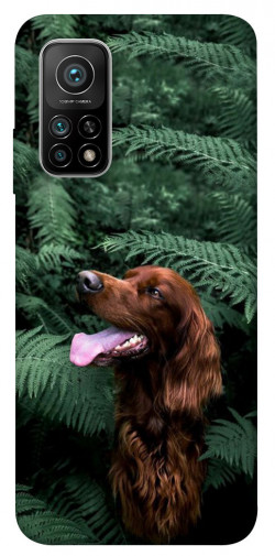 Чохол itsPrint Собака у зелені для Xiaomi Mi 10T Pro