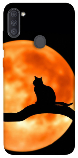 Чехол itsPrint Кот на фоне луны для Samsung Galaxy A11