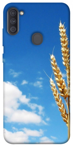 Чохол itsPrint Пшениця для Samsung Galaxy A11