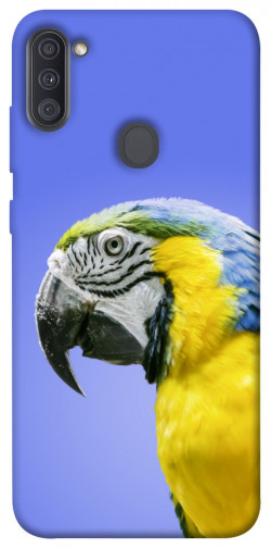 Чохол itsPrint Папуга ара для Samsung Galaxy A11