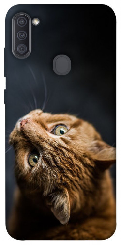 Чехол itsPrint Рыжий кот для Samsung Galaxy A11