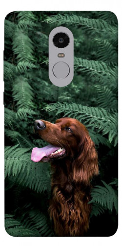 Чохол itsPrint Собака у зелені для Xiaomi Redmi Note 4X / Note 4 (Snapdragon)