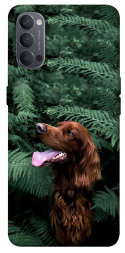 Чехол itsPrint Собака в зелени для Oppo Reno 4