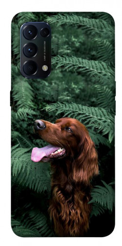 Чохол itsPrint Собака у зелені для Oppo Reno 5 4G