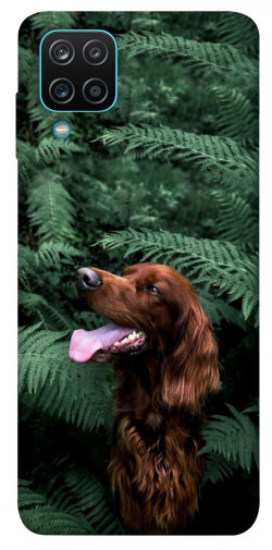 Чохол itsPrint Собака у зелені для Samsung Galaxy M12