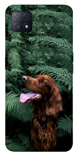 Чехол itsPrint Собака в зелени для Oppo A72 5G / A73 5G