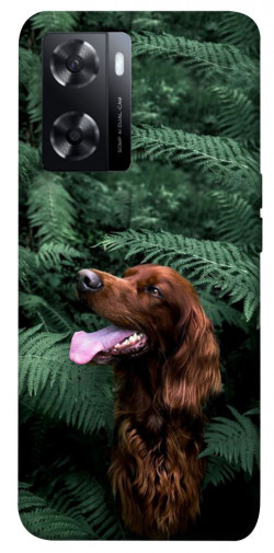Чехол itsPrint Собака в зелени для Oppo A57s