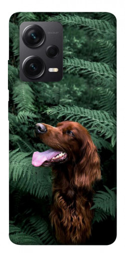 Чохол itsPrint Собака у зелені для Xiaomi Redmi Note 12 Pro+ 5G