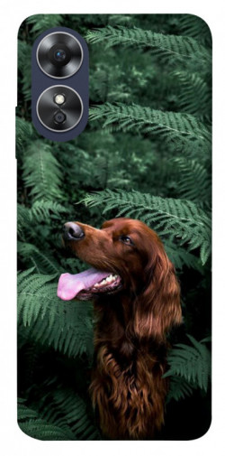 Чехол itsPrint Собака в зелени для Oppo A17