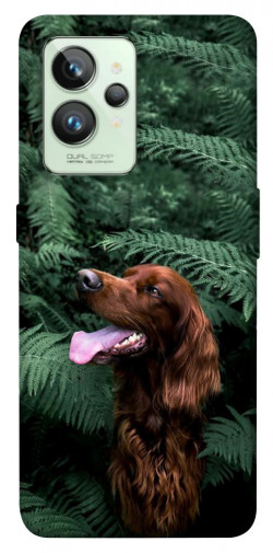 Чехол itsPrint Собака в зелени для Realme GT2