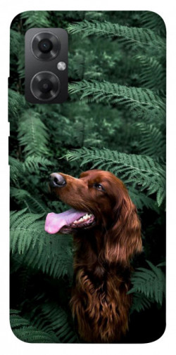 Чехол itsPrint Собака в зелени для Xiaomi Redmi Note 11R
