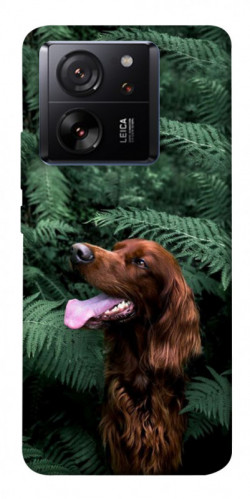 Чехол itsPrint Собака в зелени для Xiaomi 13T