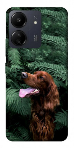 Чехол itsPrint Собака в зелени для Xiaomi Redmi 13C