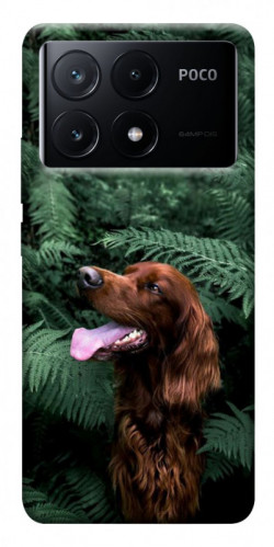 Чехол itsPrint Собака в зелени для Xiaomi Poco X6