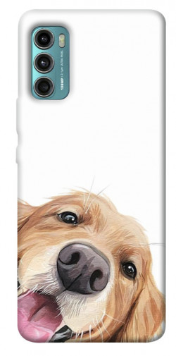 Чехол itsPrint Funny dog для Motorola Moto G60
