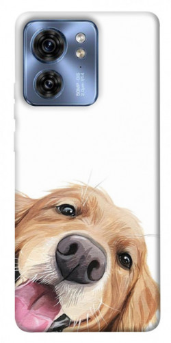 Чехол itsPrint Funny dog для Motorola Edge 40