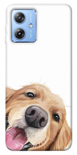 Чехол itsPrint Funny dog для Motorola Moto G84
