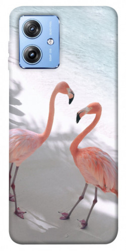 Чехол itsPrint Flamingos для Motorola Moto G84
