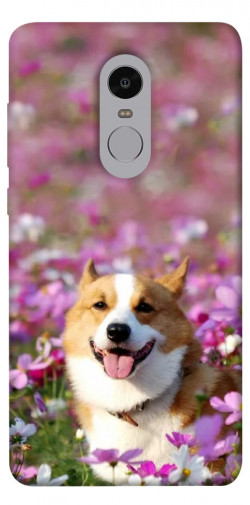 Чехол itsPrint Корги в цветах для Xiaomi Redmi Note 4X / Note 4 (Snapdragon)