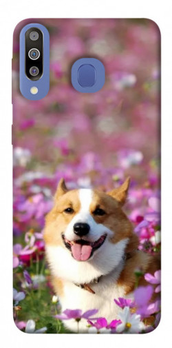 Чехол itsPrint Корги в цветах для Samsung Galaxy M30
