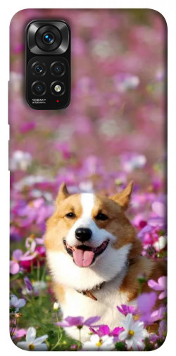 Чехол itsPrint Корги в цветах для Xiaomi Redmi Note 11 (Global) / Note 11S