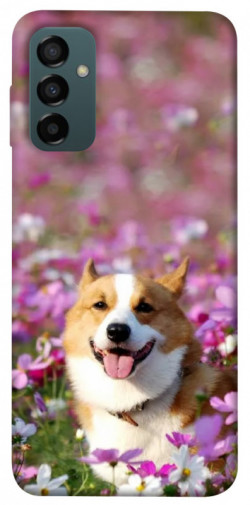 Чехол itsPrint Корги в цветах для Samsung Galaxy M34 5G