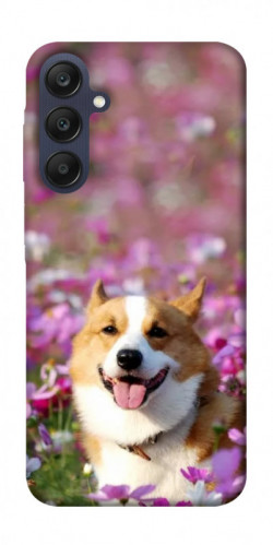 Чехол itsPrint Корги в цветах для Samsung Galaxy A25 5G