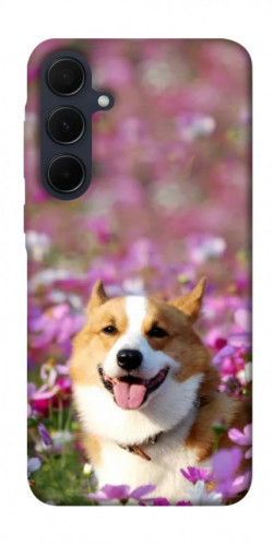 Чехол itsPrint Корги в цветах для Samsung Galaxy A55