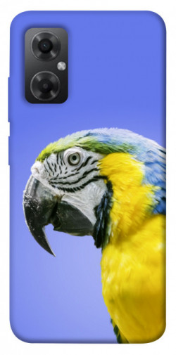 Чехол itsPrint Попугай ара для Xiaomi Redmi Note 11R