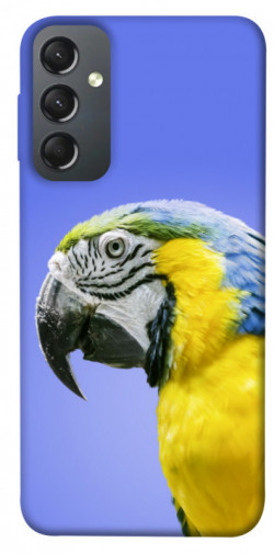Чехол itsPrint Попугай ара для Samsung Galaxy A24 4G