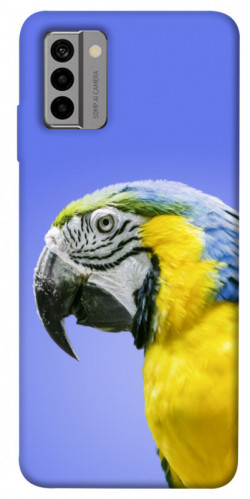 Чехол itsPrint Попугай ара для Nokia G22