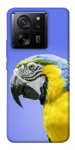 Чехол itsPrint Попугай ара для Xiaomi 13T