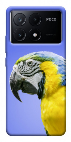Чехол itsPrint Попугай ара для Xiaomi Poco X6