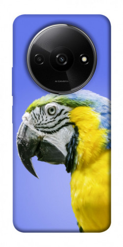 Чехол itsPrint Попугай ара для Xiaomi Redmi A3