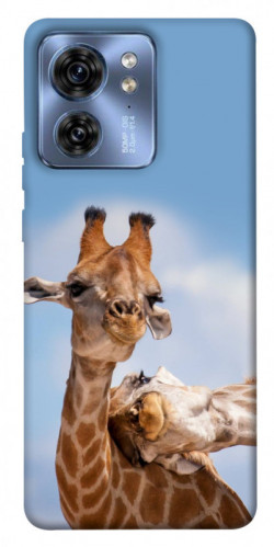 Чехол itsPrint Милые жирафы для Motorola Edge 40